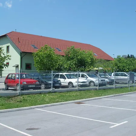 Divjak Spodnje Hoce