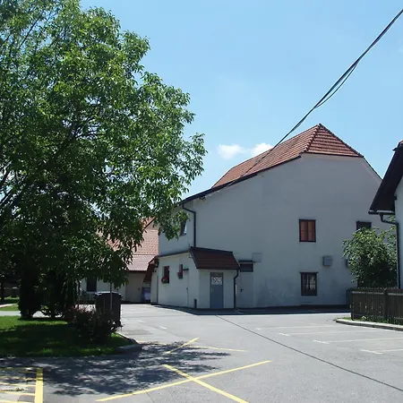 Divjak