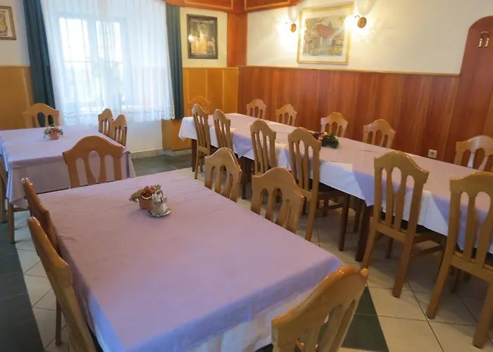 Divjak 3* Spodnje Hoce